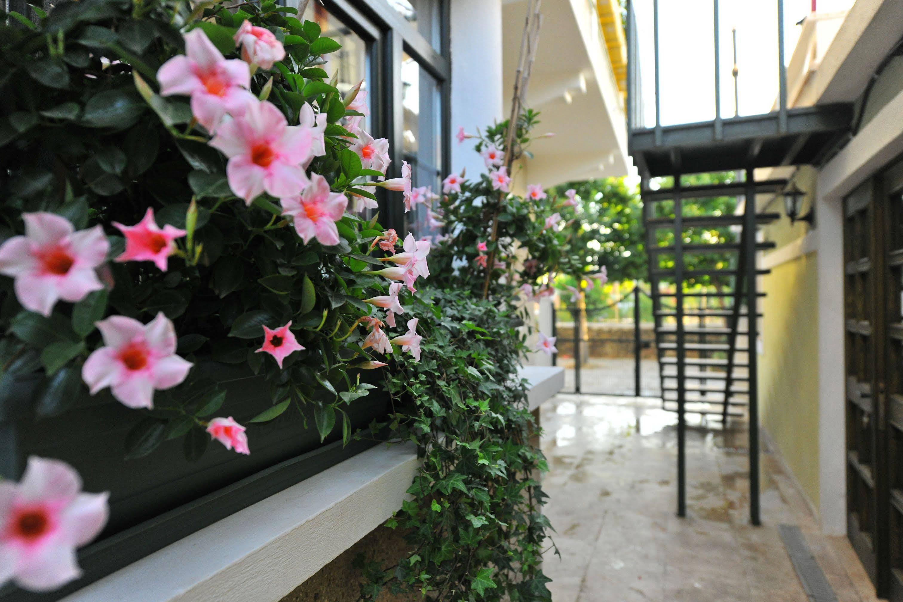 Petrino Gökçeada Hotel&Kitchen İmroz Extérieur photo